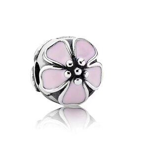 Pandora Charm